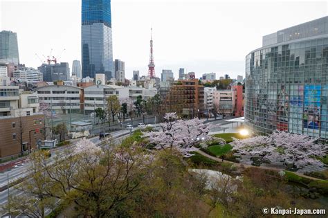 六本木駅から六本木ヒルズ: 都市の迷宮と未来の交差点